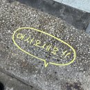 7월의 셋째주