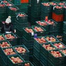 안동축산유통 이미지