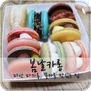 봄날카롱