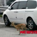 하단1동-11 이미지