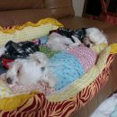 개편한집 이미지