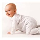 네발친구 이미지