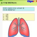 [039]~허벅지 바깥쪽 라인은 오장육부 중 어디에 해당할까요? 이미지