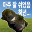 LA인턴 일기9] 7월 일상. 조슈아트리 1박. 블핑 2025 DEADLINE LA콘 후기. 내 fav 동료들을 떠나보내다.