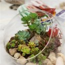 어린이의정원유치원 이미지