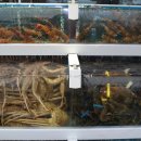 와바게임장 이미지