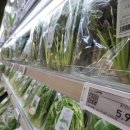 풍년밥상 이미지