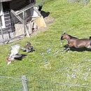 매내골 농장 이미지