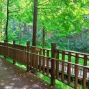 대불공원 우측 이미지