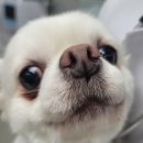 온정동물병원 이미지