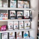 포항동물병원 이미지