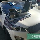 통진차유리 이미지