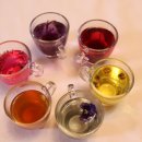 꽃차 소믈리에로의 초대 이미지