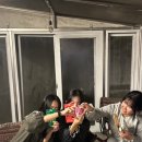 매미캠프 네이버블로그