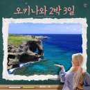 북부카랜드 | 오키나와 2박 3일 일정 경비 츄라우미 수족관 북부투어