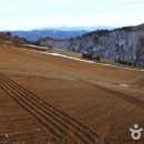 대기리마을 이미지