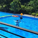 아띠랑스비치 | [가평] 아띠랑스 펜션 102호 그린나래(독채) _6인 가성비 숙소 추천