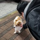 동피랑호프소주 | 통영 다찌 추천 강변다찌 내돈내산 맛 종류 가격 후기