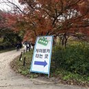 내장사입구 | [전남여행] 정읍 "내장산"(내장사) 단풍 구경 후기 (11/8 현황)