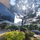 상현골프클럽 | 상현골프클럽 :: 성복,상현동 대형 인도어 연습장후기 (80타진입을 목표로!)