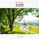 뮤지컬 가요톱텐 | 5월의 오산천과 오산문화예술회관 공연 홍경민 뮤지컬 가요톱텐