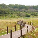 이현동2 이미지