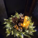 씨유비치 이미지