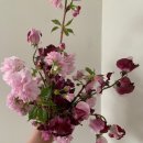 스튜디오스위트피