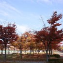 청라국제도시역 이미지