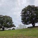 수로왕릉역(2번출구 옆) 이미지