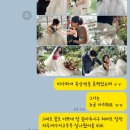 이벨라플로 이미지