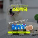 엑슬루 동물약국 이미지