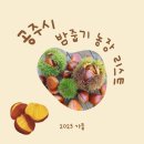 밤골랜드 이미지