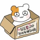 스카이 | 서울스카이 아르바이트 후기 ③