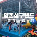 양촌랜드 이미지