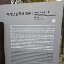 손품발품) 충북 보은 속리산 국립공원 '법주사' 단풍 여행 후기(실시간 단풍 현황)
