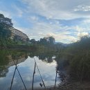 태국골프 그린월드 소식지 이미지