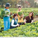 은평농장 이미지