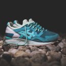 골드피그 이미지