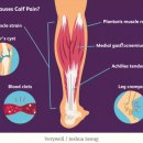 세원의원 이미지