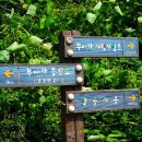 풀등이야기 이미지