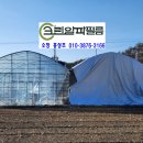 크린알파필름 이미지
