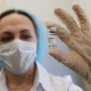 보란파마 이미지