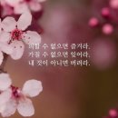 햇살좋은창 이미지