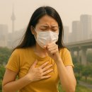 365열린동대문약국 | 2026년 설 연휴, 서울 동북권(성동·광진·노원 등 8개구)문 여는 병원, 달빛어린이병원 및 약국 총정리