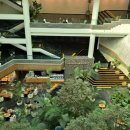 (주)찬스스타트 | 그랜드 조선 제주 아리아 평일 런치 뷔페 메뉴 말차빙수 만족 후기