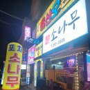 합성동291 | 마산합성동맛집-소나무:이모카세 포차 맛집