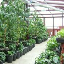 한강뮤지엄 이미지