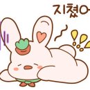 애니수지