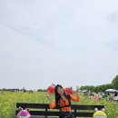 토마토 댄스스포츠학원 Daum카페
